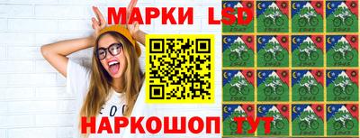 гидропоника Шебекино