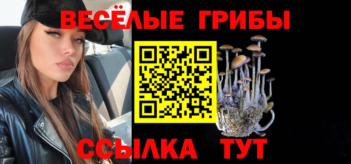 Камышлов  Псилоцибиновые грибы Cubensis  Вход с VPN  Псилоцибиновые грибы мицелий 