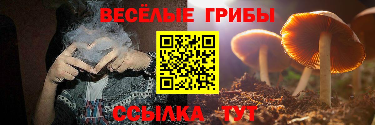 Галлюциногенные грибы Psilocybine cubensis Камышлов